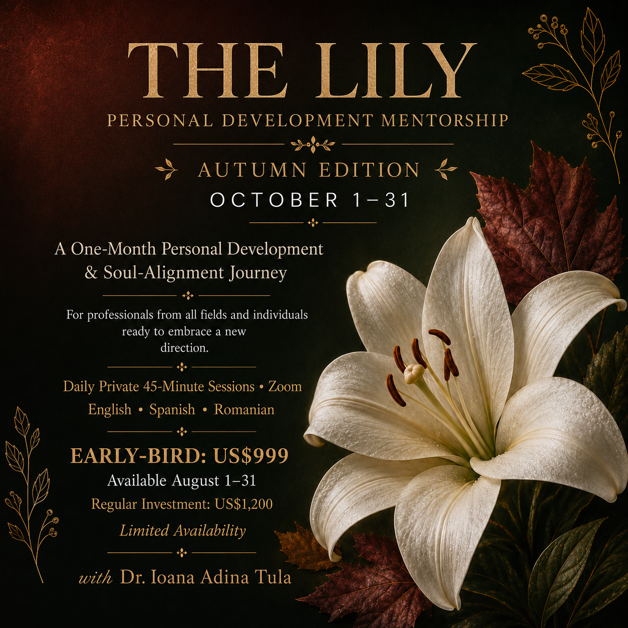 Lily Mentorship Program